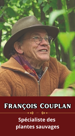 François Couplan
