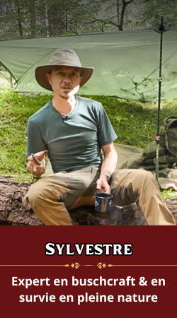 Sylvestre