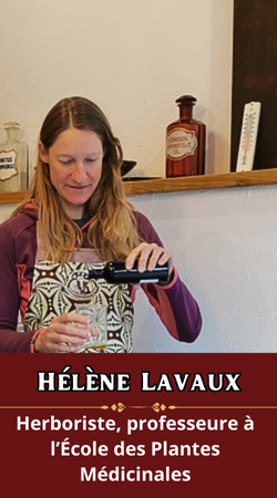 Hélène Lavaux