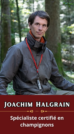 Joachim Halgrain