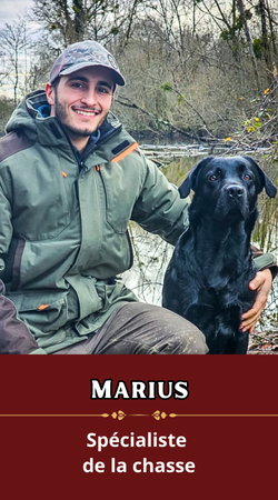 Marius