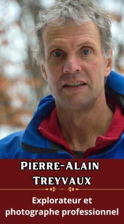 Pierre-Alain Treyvaud