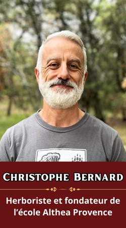 Christophe Bernard