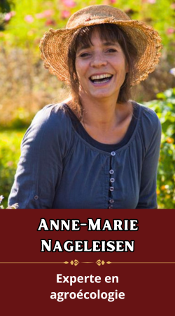 Anne-Marie Nageleisen